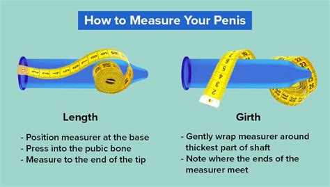 measure cock thickness|How You Can Correctly Measure Penis Length .